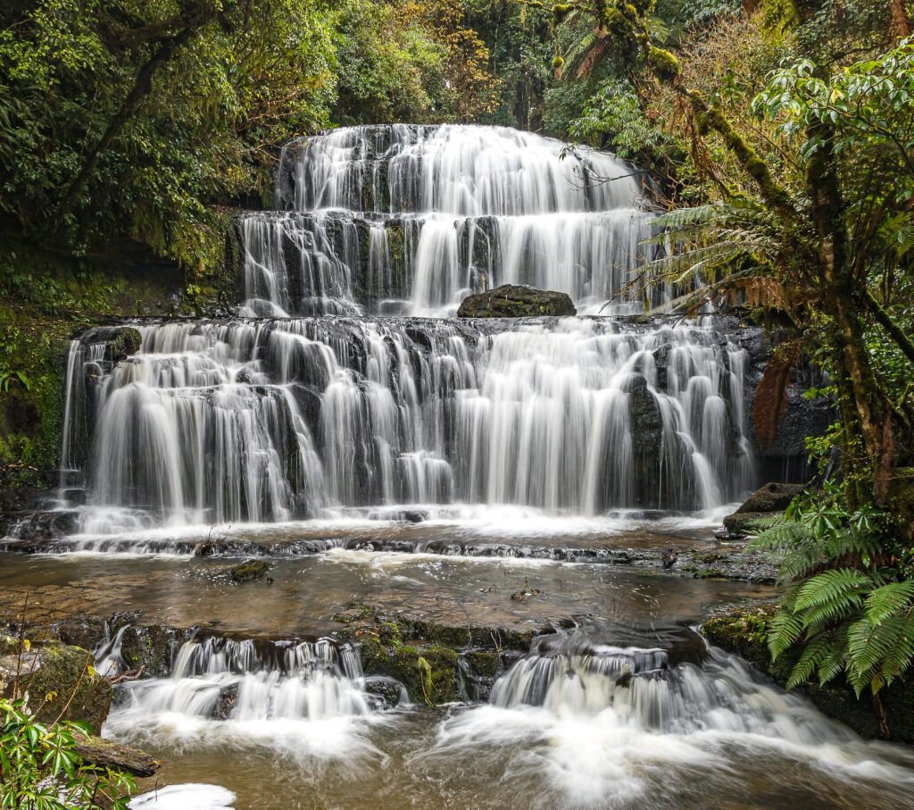 Situated off the beaten track on the east coast about 90 minutes drive from Dunedin, the Catlins is a major highlight of the Southern Scenic Route. Winding between Fortrose and Kaka Point, you will travel through farmland, forest and coastal areas. There are many walking tracks and byways – discover the sometimes peaceful, sometimes savage treasures of the Catlins. Allow five hours if you follow the whole trail and include all the walks, better yet stay overnight and really enjoy this amazing place.