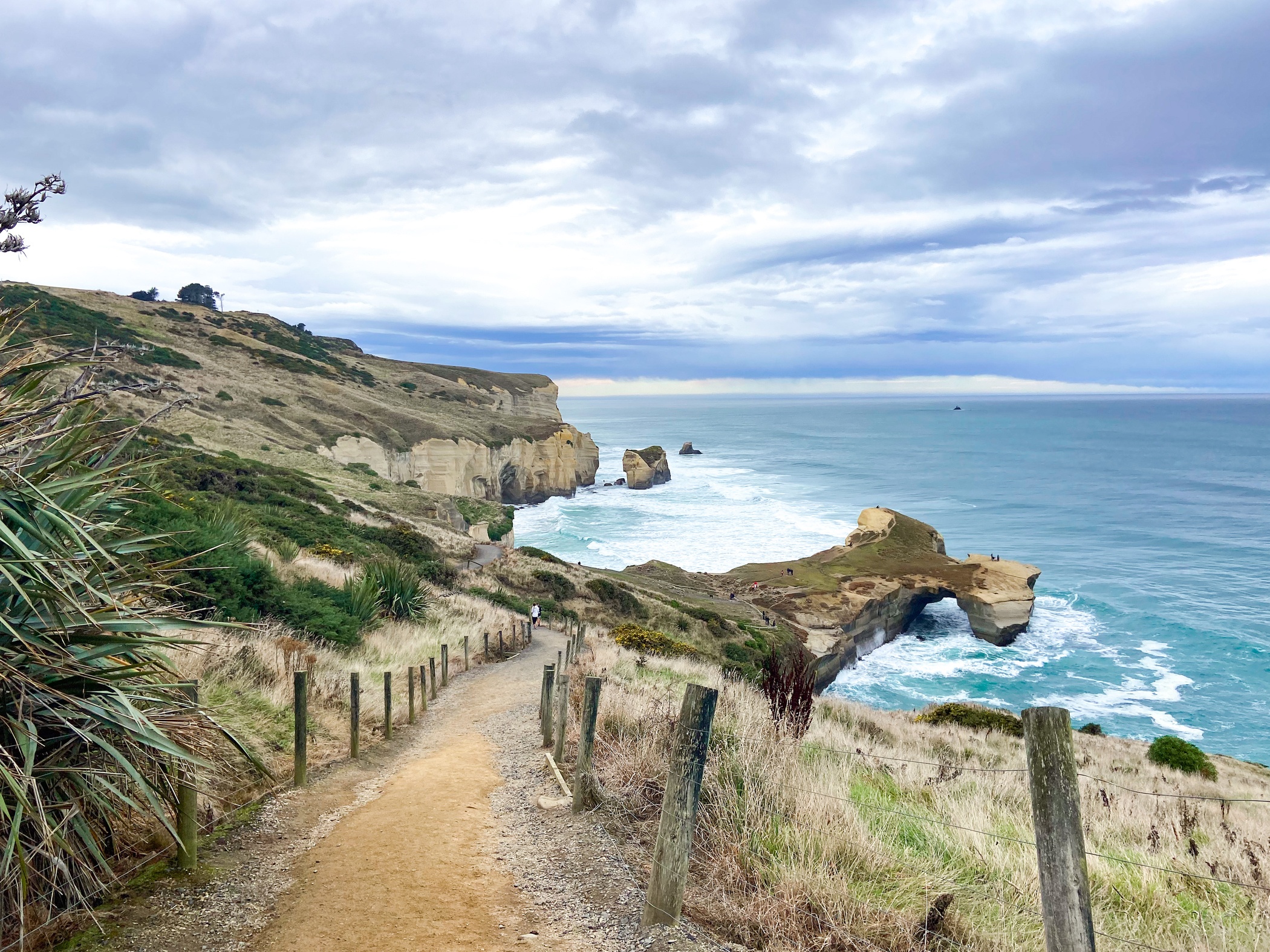 Dunedin, South Island, New Zealand location of the course